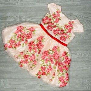 Disney Limited Edition Beauty and the Beast Pink Belle Dress Costume size 4